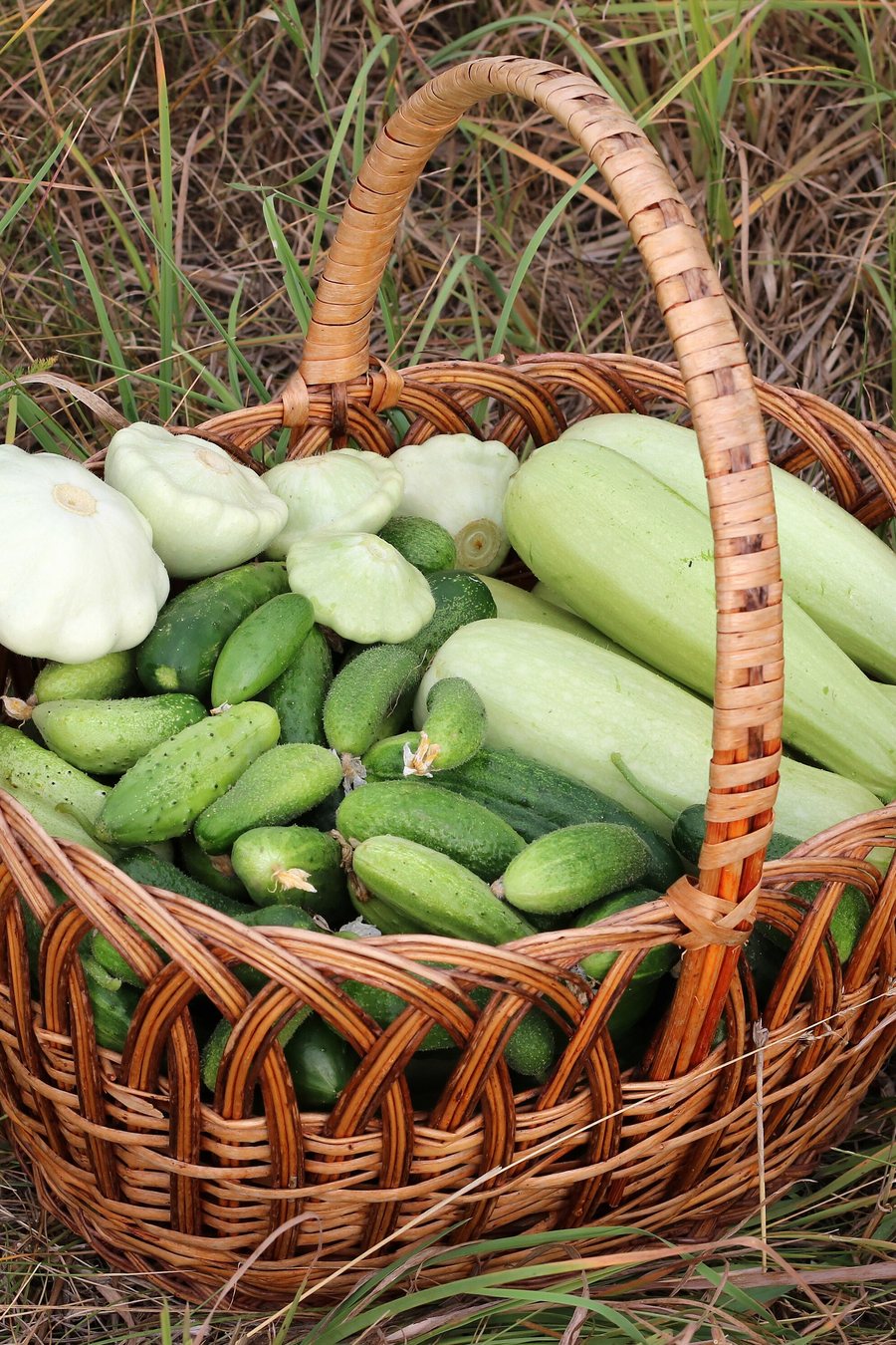 Sliced zucchini in a baking dish beside a knife and wooden board